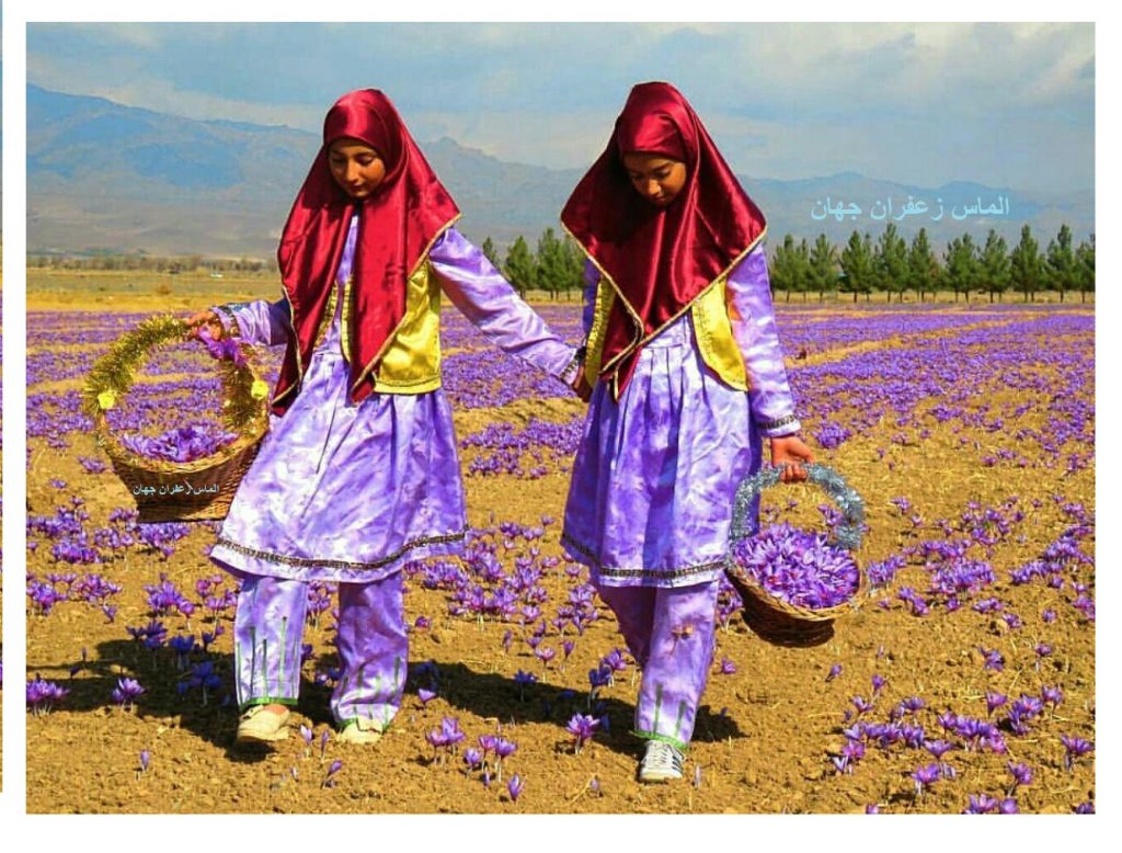 قیمت بهترین زعفران صادراتی افغانستان