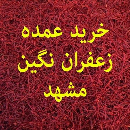 خرید عمده زعفران نگین مشهد