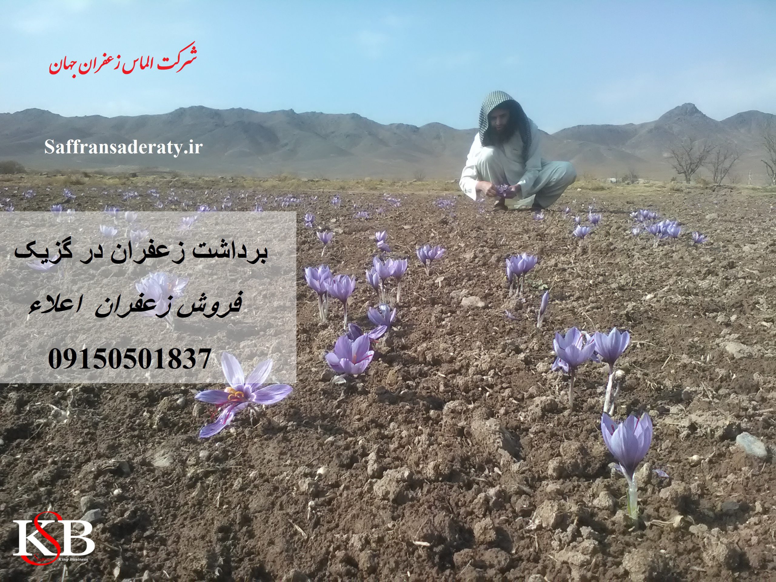 قیمت روز زعفران منطقه گزیک